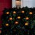 Holiday Home® 10 Halloween Smile Pumpkin String Lights - Clear Perspective: bottom