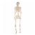 Holiday Home® Pose-N-Stay Skeleton - Cream Perspective: bottom