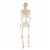 Holiday Home® Pose-N-Stay Skeleton - Cream Perspective: bottom