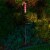 Holiday Home Solar Mini Candy Cane Yard Stake - Red/White Perspective: bottom