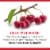 Duncan Hines Comstock No Sugar Added Cherry Pie Filling And Topping Perspective: bottom