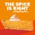 Jell-O No Bake Pumpkin Style Pie Dessert Kit with Filling Mix & Crust Mix Perspective: bottom