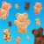 TEDDY GRAHAMS Chocolatey Chip Cookies Perspective: bottom