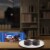 OREO Cakesters Double Chocolate Soft Snack Cakes Perspective: bottom