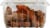 Melissa's® Turmeric Root Perspective: bottom