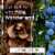 Glade® Pine Wonderland Automatic Spray Refill Perspective: bottom