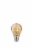 Philips 6.5-Watt (60-Watt) A19 Vintage LED Dimmable Light Bulb - Amber Light (2000K) Perspective: bottom
