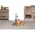 Prevue Pet Products Kitty Power Paws Play & Scratch Perspective: bottom