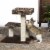 Prevue Leopard Print Cat Terrace Perspective: bottom