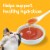 Purina Friskies Lil' Gravies Wet Cat Food Roasted Chicken Flavor Perspective: bottom