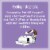 Temptations Creamy Dairy 3 Oz. Cat Treats 798462 Perspective: bottom