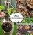 Koolscape Heavy Duty Wheeled Tumbling Composter Perspective: bottom