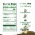 Marzetti® Simply™ Ginger Soy Salad Dressing Perspective: bottom