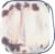 Blue Ribbon Fudge Twirl Ice Cream Perspective: bottom