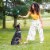 Rachael Ray Nutrish Salmon Dry Dog Food Perspective: bottom