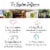 Bigelow Benefits® Ginger & Peach Calm Stomach Herbal Tea Bags Perspective: bottom