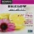 Bigelow Benefits Lemon & Echinacea Herbal Tea K-Cup® Pods Perspective: bottom