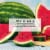 Little Trees® Vent Wrap® Air Freshner - Watermelon Perspective: bottom