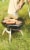 Coleman Party Propane Grill - Black/Silver Perspective: bottom