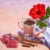 Yogi® Organic Spicy Hibiscus Blossom Positive Energy Herbal Tea Bags Perspective: bottom