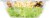 Ready Pac Bistro® Chicken Queso Fresco Salad Perspective: bottom
