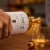 The Balvenie Stories 12 Year Old Sweet Toast American Oak Single Malt Scotch Whisky Perspective: bottom