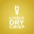 Dark Horse Brut California Sparkling Wine Can Perspective: bottom