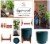 Bloem 7008945 10 in. Planter Hopson, Green Perspective: bottom