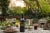 Etude Napa Valley Cabernet Sauvignon Red Wine Perspective: bottom