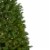 Northlight 7.5' Pre-Lit Green Medium Northern Pine Artificial Christmas Tree - Warm Clear LED Perspective: bottom