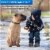 Safe Paw Salt-free Pet Safe Ice Melt, 35lb Pail Perspective: bottom