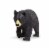 Black Bear Toy Perspective: bottom