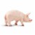 Boar Perspective: bottom