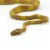 Amazon Tree Boa Perspective: bottom