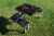 Star Wars Death Star - Picnic Table Portable Folding Table with Seats, Black Perspective: bottom