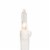 Northlight 100-Count Clear Mini Christmas Light Set, 20.25ft White Wire Perspective: bottom