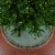 Northlight 48  Green Burlap Christmas Tree Skirt with Faux Fur Trim Perspective: bottom