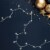 Northlight 50 Count Warm White LED G12 Berry Mini Christmas Lights, 15.9 ft White Wire Perspective: bottom