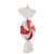 Northlight 18  Red Pinwheel Candy with Iridescent Glitter Shatterproof Commercial Christmas Perspective: bottom