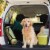 Petmaker 80-PET6045 Cargo Liner Dog Waterproof Seat Cover with Non-Slip Trunk Pet Travel Mat, Perspective: bottom