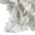 Lily 10 Inch Faux Coral Accent Sculpture, Polyresin Decorative Piece, White- Saltoro Sherpi Perspective: bottom
