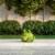 Cute Fat Frog Big Eyes Garden Flower Bed Decor Bright Green Bullfrog with Smile Perspective: bottom