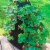 Gardens Alive! Strawberry Tower Grow Tub Perspective: bottom