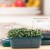 Gardens Alive! Microgreen Seed Starting Grow Kit Perspective: bottom