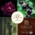 Woodwick® ReNew Collection Black Currant & Rose Candle Perspective: bottom