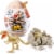Zuru Robo Alive Dino Fossil Find Series 1 Toy Perspective: bottom