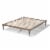 Baxton Studio Iseline Full Size Grey Finished Wood Platform Bed Frame Perspective: bottom