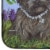 Carolines Treasures PPP3254DDM Cairn Terrier Sisters Dish Drying Mat Perspective: bottom