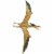 Jurassic World Dominion 12 Pteranodon Dinosaur Action Figure Perspective: bottom