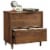 Pemberly Row 2 Drawer Lateral File Cabinet in Grand Walnut Perspective: bottom